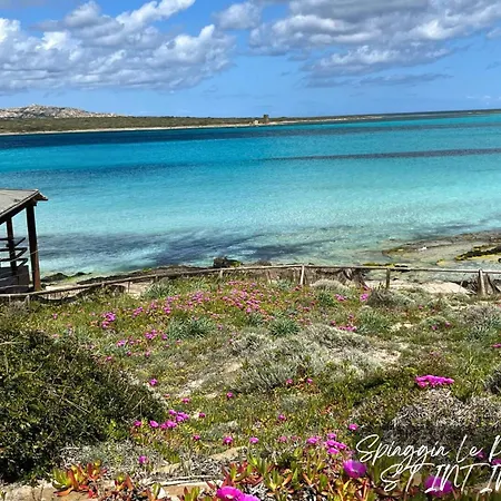 Alba Vista Mare - Mit Meerblick Und Pool Budoni, Sardinien Tanaunella
