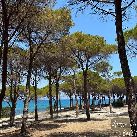 Alba Vista Mare - Mit Meerblick Und Pool Budoni, Sardinien Apartmán *