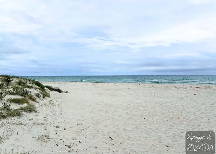 Alba Vista Mare - Mit Meerblick Und Pool Budoni, Sardinien Apartament *